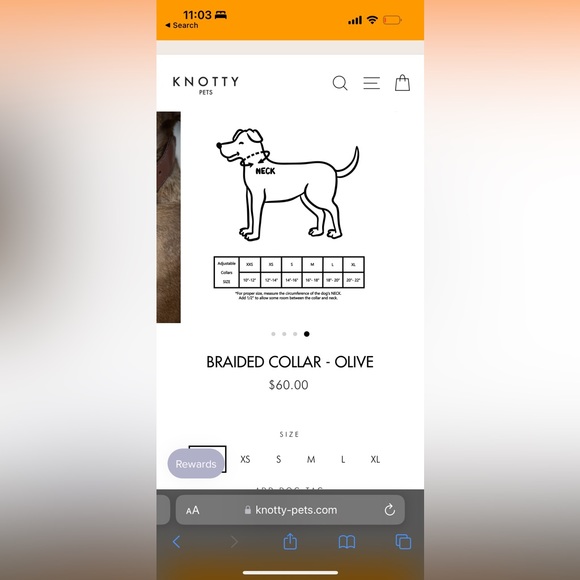 Knotty Pets + Knick knack paddy whack (3 items) - Picture 4 of 6